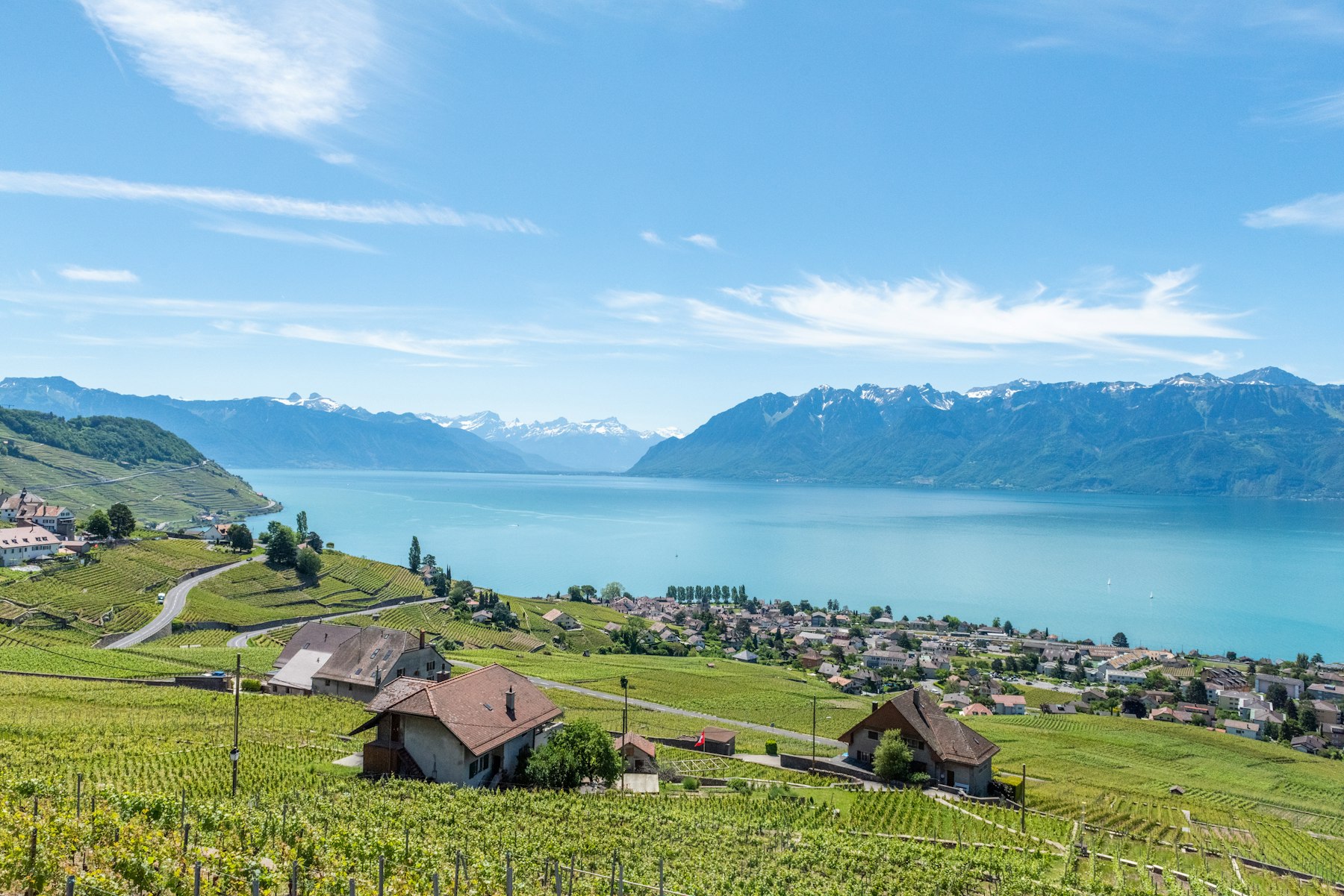 Vignobles en terrasses de Lavaux surplombant le lac Léman et les Alpes